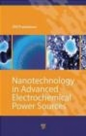 Nanotechnology in Advanced Electrochemical Power Sources