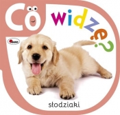 Co widzę słodziaki - Piotr Kozera