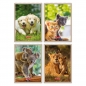 Herlitz, Kołonotatnik A7/40k. kratka - Animals, 1 szt.