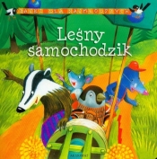 Bajki dla najmłodszych Leśny samochodzik - Bogusław Michalec