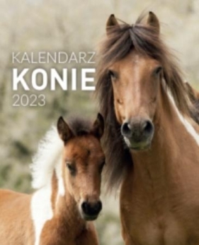 Kalendarz 2023 B4 Konie ARTSEZON