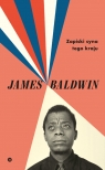 Zapiski syna tego kraju Baldwin James