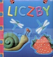 Liczby - Opracowanie zbiorowe