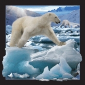 Magnes 3D - Niedźwiedź polarny w skoku