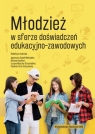 Młodzież w sferze doświadczeń edukacyjno-zawodowych