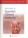 Moore's Essential Clinical Anatomy Sixth edition, International Edition
