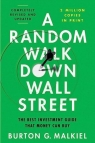 A Random Walk Down Wall Street : The Best Investment Guide That Money Can Buy Burton G.Malkiel