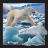 Pocztówka 3D Niedźwiedź polarny w skoku