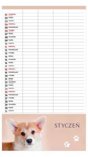 Kalendarz planer rodzinny - Zwierzaki, 2026 rok