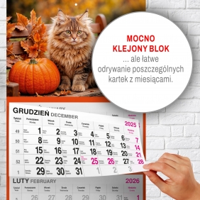 Kalendarz 2026 Trójdzielny - Kot