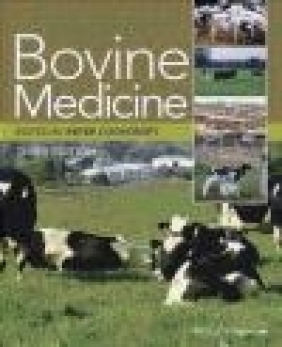 Bovine Medicine Kevin Prenger