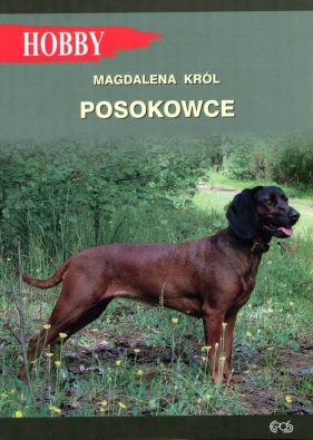 Posokowce - Król Magdalena