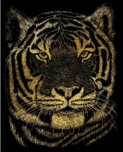 Wydrapywanka złota Tygrys bengalski