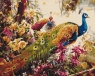 Obraz Malowanie po numerach - Kwitnące pawie (BS52197)od 14 lat