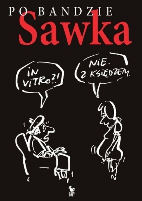 Po bandzie - Sawka Andrzej
