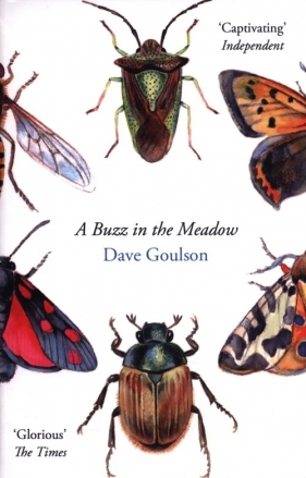 A Buzz in the Meadow - Goulson Dave