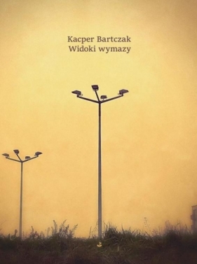 Widoki wymazy - Bartczak Kacper