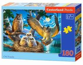 Puzzle 180: Owl Family