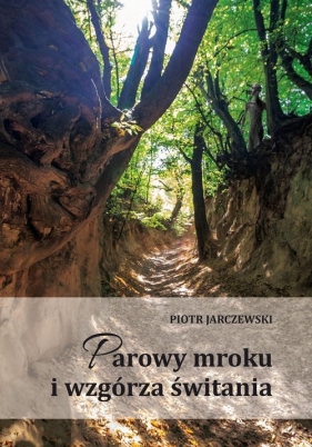 Parowy mroku i wzgórza świtania - Jarczewski Piotr