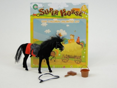 Konik + akcesoria