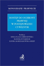 Dostęp do ochrony prawnej w postępowaniu cywilnym