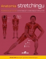 Anatomia stretchingu 50 podstawowych ćwiczeń wzmacniających i Ken Ashwell