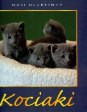 Kociaki