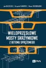 Wieloprzęsłowe mosty skrzynkowe z betonu sprężonego Biliszczuk Jan,Sadowski Krzysztof,Teichgraeber Marco