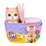 Little Live Pets Mama Surprise - Kocia Mama