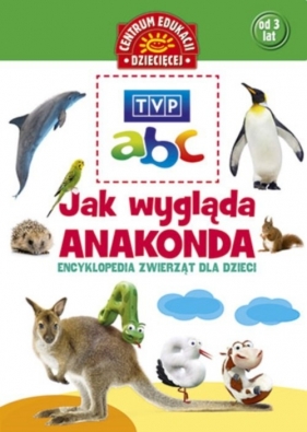 Jak wygląda anakonda? Encyklopedia zwierząt dla dzieci