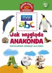 Jak wygląda anakonda Encyklopedia zwierząt dla dzieci (Uszkodzona okładka)