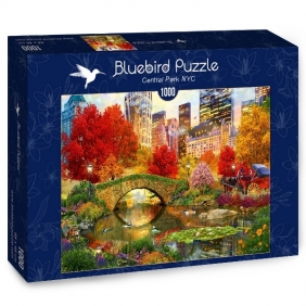 Bluebird Puzzle 1000: Nowy York, Central Park (70244)