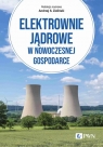 Elektrownie jądrowe w nowoczesnej gospodarce. Technologie, ekonomika, Zieliński Andrzej