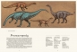 Dinozaurium. Muzeum Dinozaurów - Lily Murray