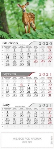 Kalendarz 2021 Trójdzielny Sarna CRUX
