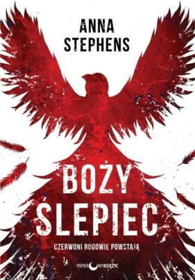 Boży ślepiec. Tom 1 - Anna Stephens