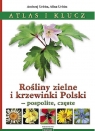 Rośliny zielne i krzewinki Polski