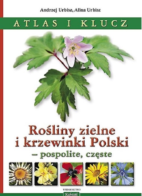 Rośliny zielne i krzewinki Polski