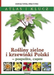 Rośliny zielne i krzewinki Polski - Urbisz Andrzej, Urbisz Alina