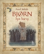 Bjorn Syn burzy - Paweł Wakuła