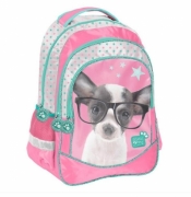 Plecak szkolny Studio Pets PTD-181 PASO