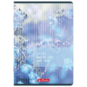 Zeszyt Herlitz A5/32k kratka z marginesem, 1 szt