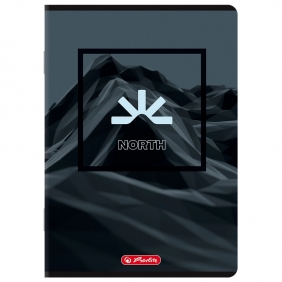 Zeszyt Herlitz A5/32k kratka z marginesem, 1 szt