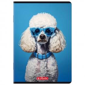 Zeszyt Herlitz A5/32k kratka z marginesem, 1 szt