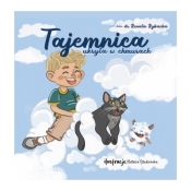 Tajemnica ukryta w chmurach - Renata Rybacka