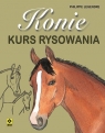 Konie Kurs rysowania