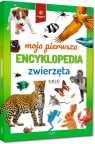 Moja pierwsza encyklopedia - zwierzęta Zespół redakcyjny Wydawnictwa GREG