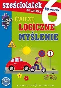 Sześciolatek na szóstkę Ćwiczę logiczne myślenie