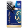 Zestaw ołówków do szkicowania Astra Art&Hobby, 12 sztuk w metalowym pudełku