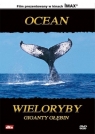Ocean: Wieloryby, giganty głębin